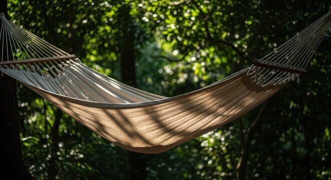 Tranquil empty hammock in sunlit forest setting