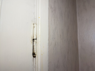 Old door hinges on a wooden door in an apartment, hinge repair. High quality