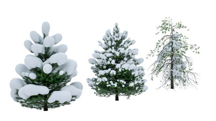 Set of Three snowcovered evergreen trees isolated on transparent background
