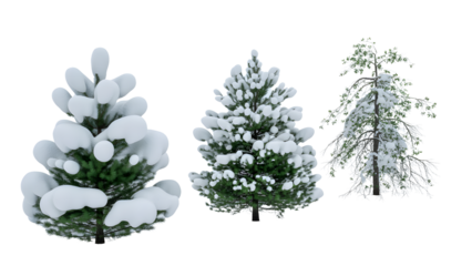 Set of Three snowcovered evergreen trees isolated on transparent background