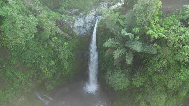 Air Terjun Tropis yang Dikelilingi Hutan Hijau yang Subur