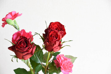 薔薇とカーネーション