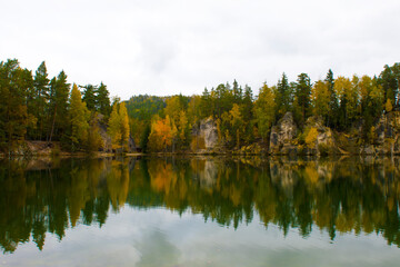 Autumn in the forest 2025