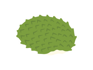 Soursop Fruit for Treating Cancer
