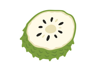 Soursop Fruit Sliced Clip Art
