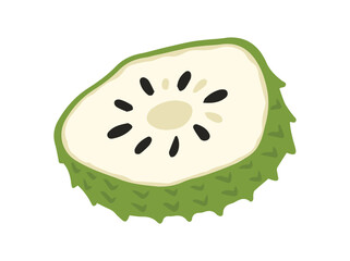 Soursop Fruit Sliced Clip Art
