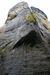 Skalna twarz. Skały Adrszpaskie. Jesień 2025