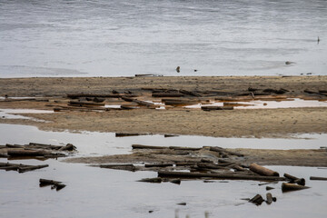 Canada, 29 October 2025 : Logs scattered on muddy riverbank during low water and cloudy sky