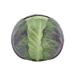Fresh Green Cabbage With Water Droplets Isolated On Transparent Background Detailed Realistic 3D Render