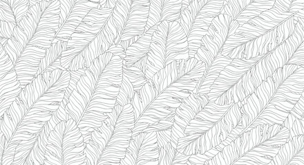 Stylized black and white outline pattern of overlapping tropical banana leaves with visible veins, creating a dense natural background texture.