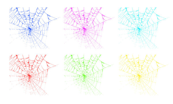Vibrant multicolored spider web collection on a clean background