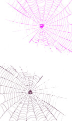 Ornate purple spiderweb patterns for spooky halloween design.