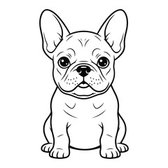 Cute French bulldog and pug puppy portrait isolated on a white background