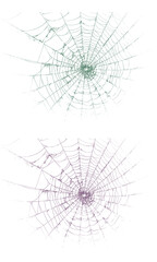 Intricate green and purple spider webs pattern background texture.