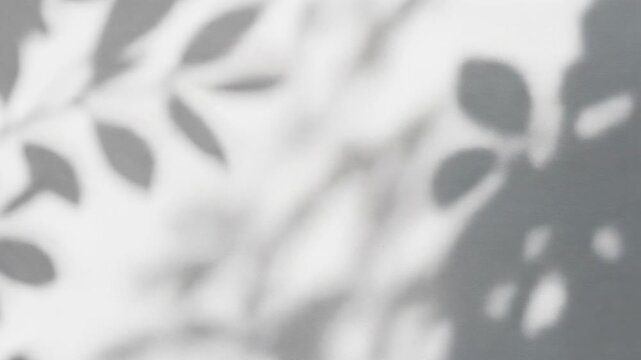 Abstract shadow leaves on a light wall creating a soft natural pattern and calm atmosphere