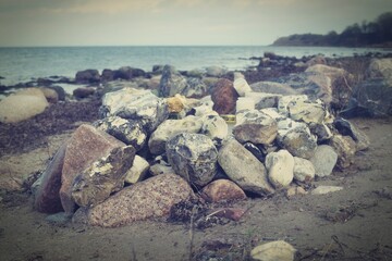 Triebgut - Strandszenen im Herbst von Treib- und Triebgut