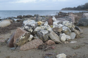 Triebgut - Strandszenen im Herbst von Treib- und Triebgut
