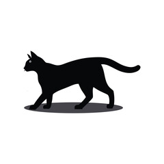 A cat vector silhouette illustration