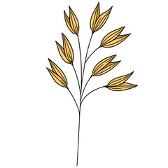 Stylized vector illustration of a golden oat stem with multiple spikelets, isolated on a clean white background.