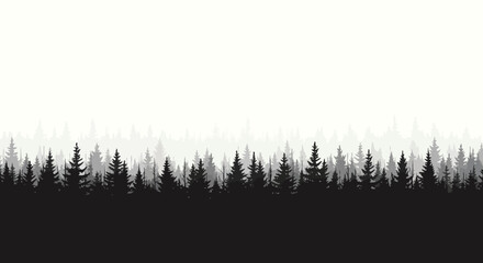 Black and white panorama of a dense forest of coniferous trees under a bright sky