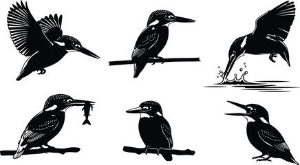 Elegant kingfisher silhouette vector illustration set showing dynamic flying poses, perched moments, fishing actions, expressive wildlife behavior, perfect for nature design, branding projects