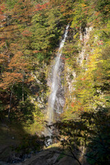 日本：回顧（みかえり）の滝のアップ【日光国立公園】栃木県那須塩原市