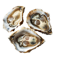 Naklejka premium Three fresh oysters on transparent background