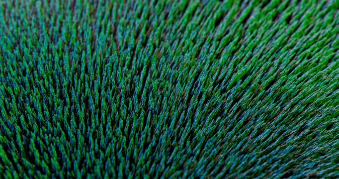 This captivating abstract image showcases metal particles engaging with magnetic forces against a striking black background, making it an ideal choice for motion graphics and stunning visual effects