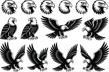 Eagle silhouette collection, flying eagle, perched eagle, eagle head design, black and white eagle, aggressive pose, majestic bird illustration