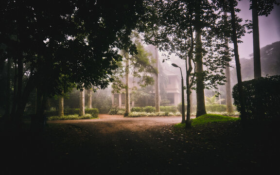 View of a mist-veiled path winding through a lush garden, shrouded by tall trees and glowing with a faint, ethereal light, Aburi, Eastern Region, Ghana.