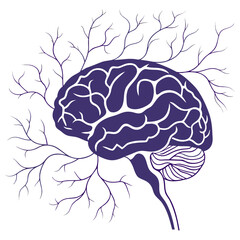 Illustration of a human brain with neural connections, representing intelligence, memory, and cognitive function perfect for medical, educational, and scientific contexts