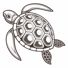 A captivating line art illustration of a sea turtle, showcasing its intricate shell pattern and graceful form, a symbol of longevity and wisdom, this artwork embodies the beauty of marine life