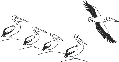 Fototapeta premium Elegant flock of pelicans, detailed vector illustration, perfect for nature designs, wildlife projects, and educational materials about avian life