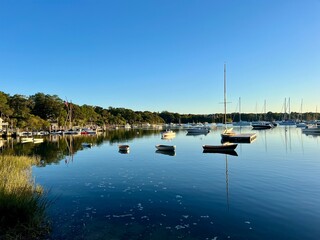boats in the harbor
