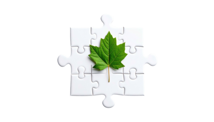 A vibrant green leaf rests on a white puzzle, symbolizing nature and interconnectedness