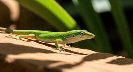 green lizard on a tree