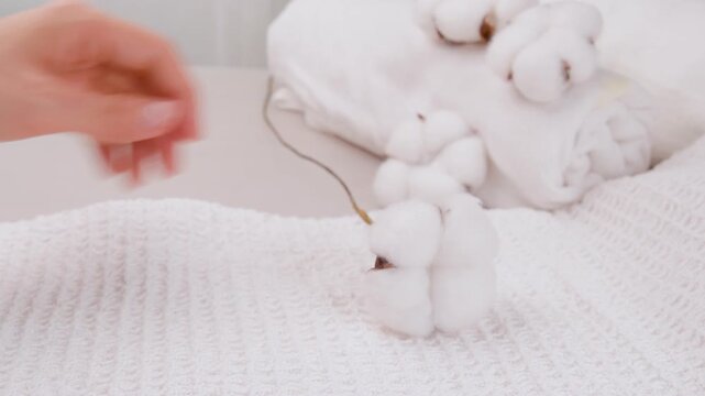 Hand Hold Raw Cotton Bolls Materials Multiple Angles Natural Fiber Movements