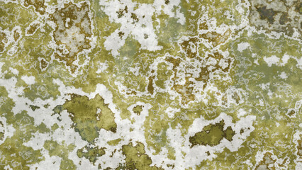 Marbled Terrain Texture Abstract Landscape in Earthy and Snow-Touched Tones,Organic Surface with Elevation and Vegetation Flow Mineral Landscape Artwork.