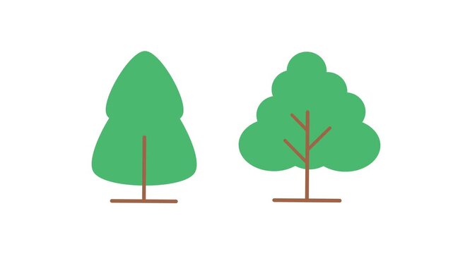 Simple animation showing stylized evergreen pine beside a bushy green tree in clean modern flat style