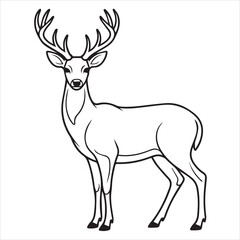 deer vector illustration coloring pager