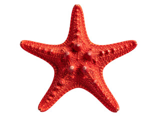  Red Starfish with Natural Texture, Top View, Isolated on Transparent Background, Generative AI