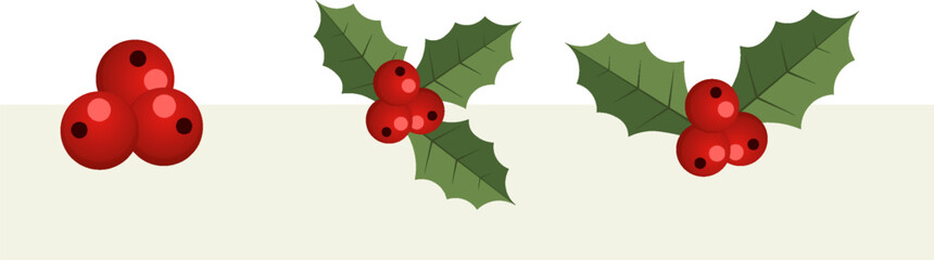 Holly branches with red berries decorative vector illustration for holiday and winter season design elements