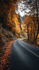 Autumn scenic drive mountain road photography vibrant fall foliage serene nature eye-level view seasonal beauty