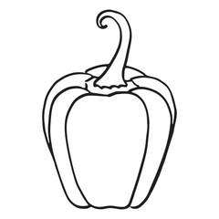 bell pepper vector illustration