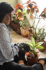 woman holding potted plant