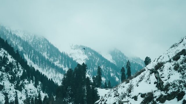 Winter forest and mountains covered in snow as seen from Chandanwari, Jammu and Kashmir, India. Snow covered mountains of Kashmir. Nature landscape. Winter beauty of Himalayas. Travel concept