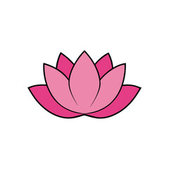 A pink lotus flower art on transparent background