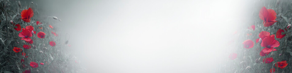 poppy flower banner . Anzac background. Poppy, Remembrance memorial Day poster. banner. copy space