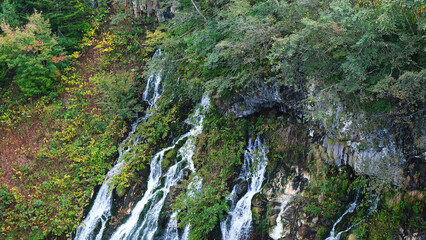 Shirahige Waterfall with deep cobalt blue hue, Biei river flow beneath, also known as the White Beard Waterfall, this cascading water turns cobalt blue in the basin. Shirogane, Biei, Hokkaido, Japan