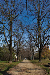 a park in autumn in Italy